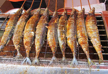 天津首届亚太国际美食节第 3 张图片