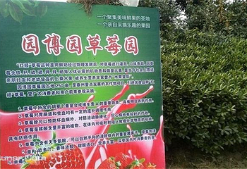 园博园草莓园第 3 张图片