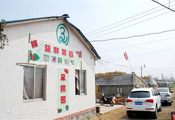 益群草莓第 2 张图片