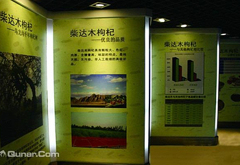 中华枸杞养生苑第 2 张图片