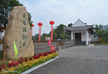 南岭植物园第 1 张图片
