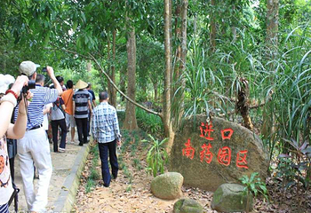 兴隆南药园第 11 张图片