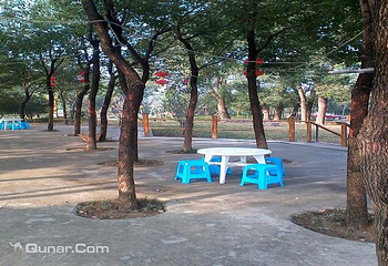 香樟林烧烤第 4 张图片