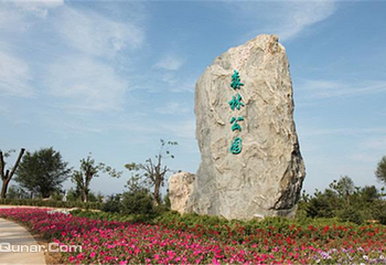 忻州九龙岗森林公园第 4 张图片