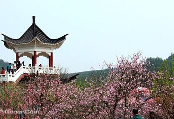 赣县桃花岛第 8 张图片