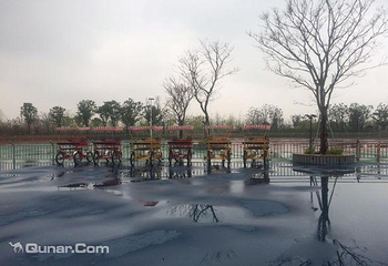 芦荡湖湿地公园第 2 张图片