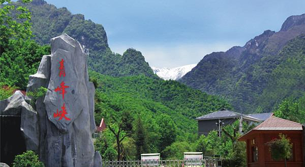 青峰峡森林公园