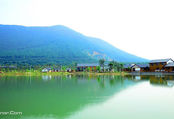 大阳山国家森林公园植物园景区第 17 张图片