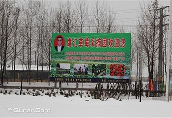 康汇草莓采摘园第 3 张图片