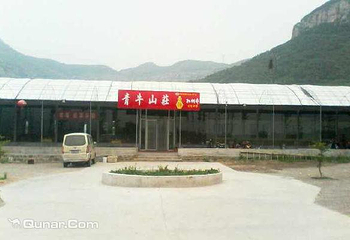 青牛山莊生态园第 3 张图片