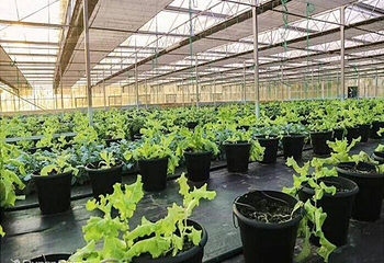 三门农博园第 5 张图片