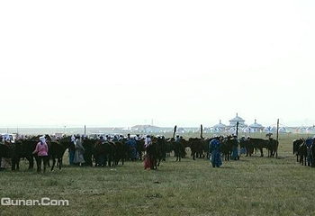 查干朝鲁图珠洒勒旅游度假村第 5 张图片