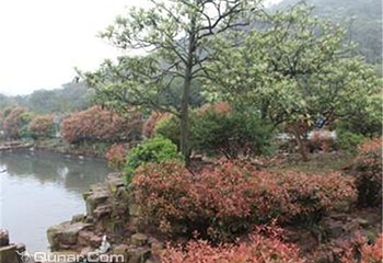 洞庭山半岛茶人农场第 3 张图片