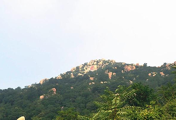 龙山风景名胜第 3 张图片