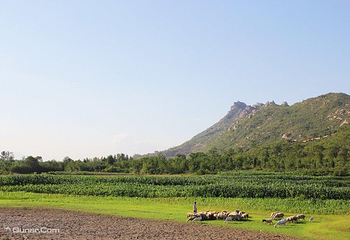 中山国王陵陈列馆第 14 张图片