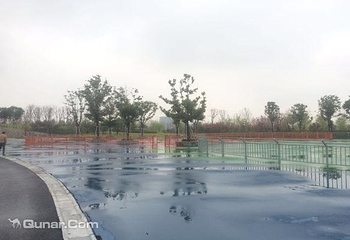 芦荡湖湿地公园第 4 张图片