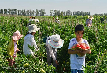 锦云川农家乐第 4 张图片