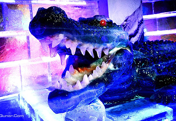 中俄蒙国际冰雪乐园第 18 张图片