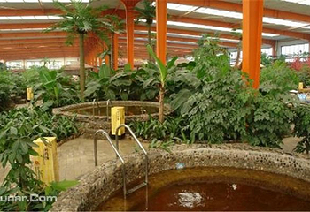 金孔雀温泉欢乐水世界第 8 张图片