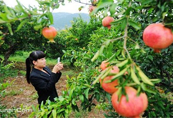 大洞山风景区第 6 张图片