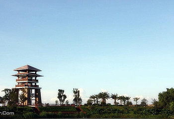 大湾区中央湿地公园第 15 张图片