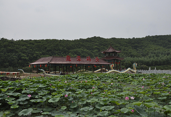 大梨树生态旅游区第 19 张图片