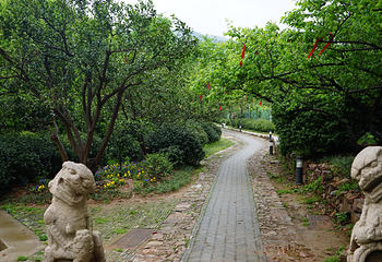 雨花胜境第 22 张图片