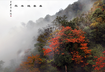 梵净山第 71 张图片