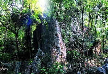 太子山国家森林公园第 4 张图片