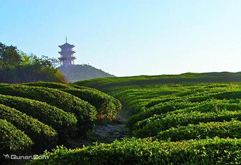 蒙顶山第 14 张图片