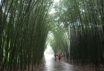 重渡沟风景区第 55 张图片