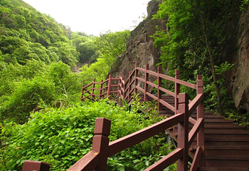 武汉九峰山森林公园第 1 张图片