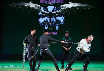 幻•凤凰魔术剧院第 6 张图片