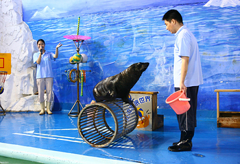 左海海底世界第 7 张图片