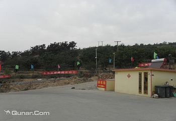 崂山北宅毕家北山昌盛樱桃园第 6 张图片