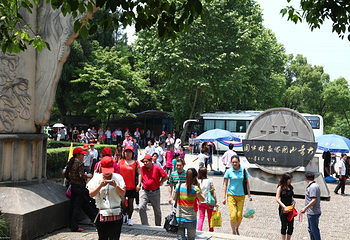 大奇山国家森林公园第 27 张图片