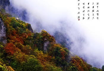 梵净山第 62 张图片