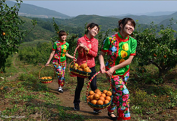 大梨树生态旅游区第 14 张图片