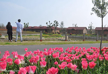 光明瑞华果园第 22 张图片