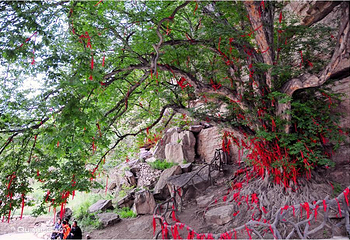 龙潭大峡谷第 16 张图片