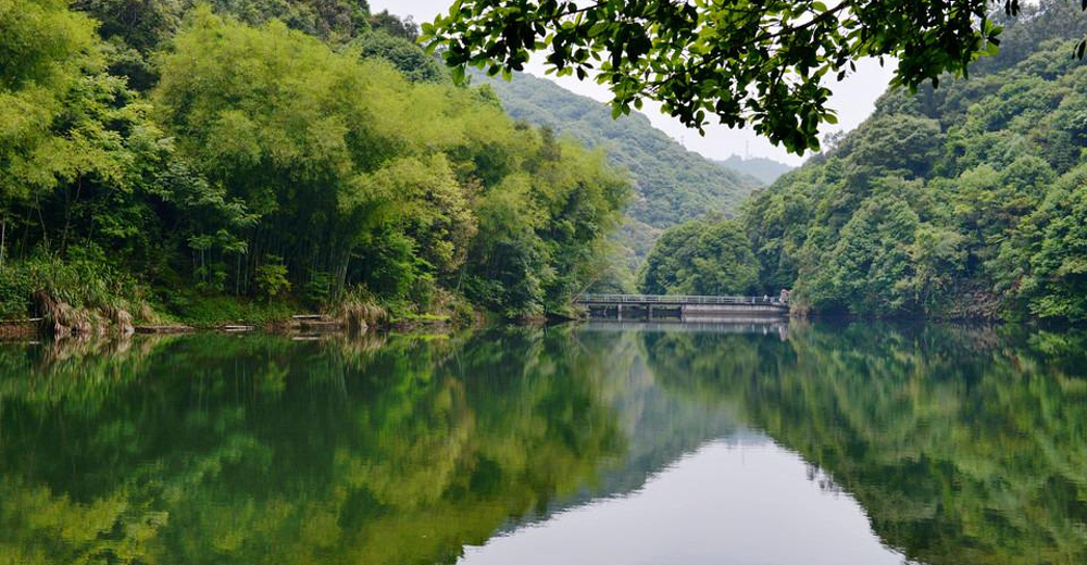 【特惠】河源桂山风景区门票 空中玻璃漂流 网红桥