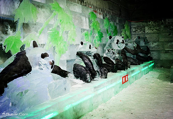 中俄蒙国际冰雪乐园第 20 张图片