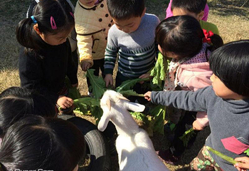 容盛生态农庄第 3 张图片