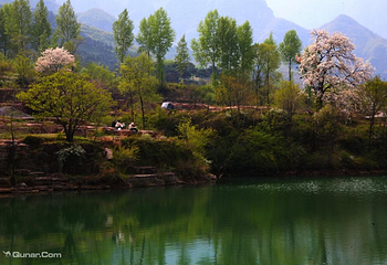 王莽岭风景区第 24 张图片