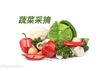 元旭生态园第 1 张图片