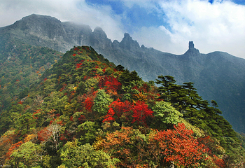 梵净山第 70 张图片