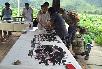 广西平果布镜湖•荷莲世界第 5 张图片