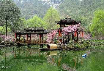 酉阳桃花源景区第 7 张图片