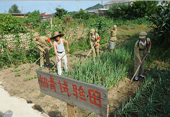 大梨树生态旅游区第 29 张图片