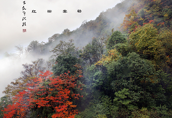 梵净山第 66 张图片